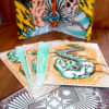 Vendetta451_coffret