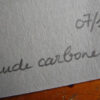 Transhybrida_signature