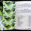 VertEnvie_00-01