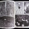 LPDLE_04